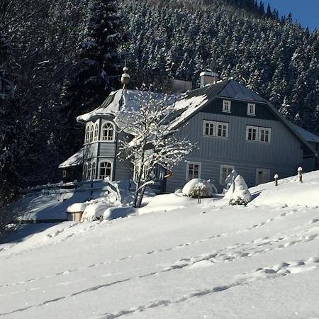 Penzion Modry Pavilon Dolni Mala Upa Exterior foto